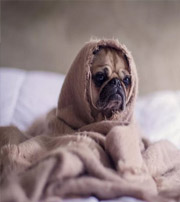 白城有这样的手机号码，留不住钱，你中枪了吗？