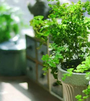 白城专属于你的开运指南，助你鸿运当头福满身！