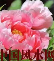 白城预示你财运上升，姻缘可成的梦境，快来看看吧！