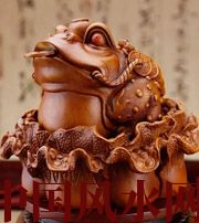 白城解读金蟾最合适的位置，这样摆放更招财！