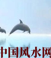 白城做梦梦到这些，是要富裕的征兆！